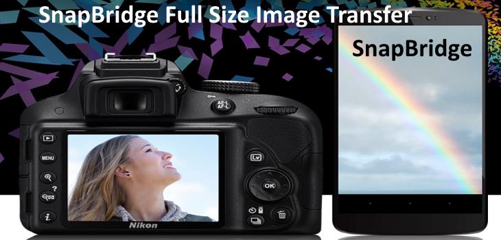 d3400-snapbridge-full-size-image-transfer