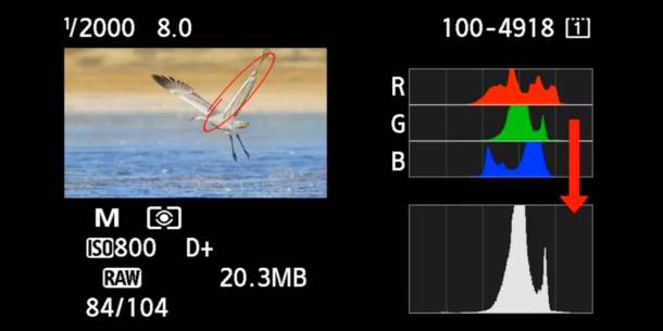 How to get the right exposure histogram