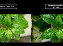 Panasonic Lumix GH4 vs Panasonic Lumix FZ1000 4K video test