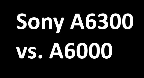 Sony A6300 vs. A6000