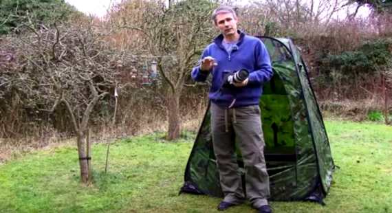 Backyard birding setup