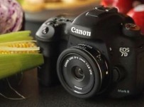 Canon EF-S 24mm f 2.8 STM video review