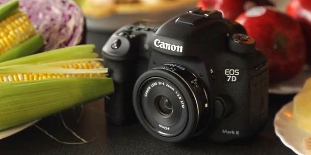 Canon EF-S 24mm f 2.8 STM video review