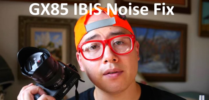 GX85 firmware 1.2 Mic IBIS Noise