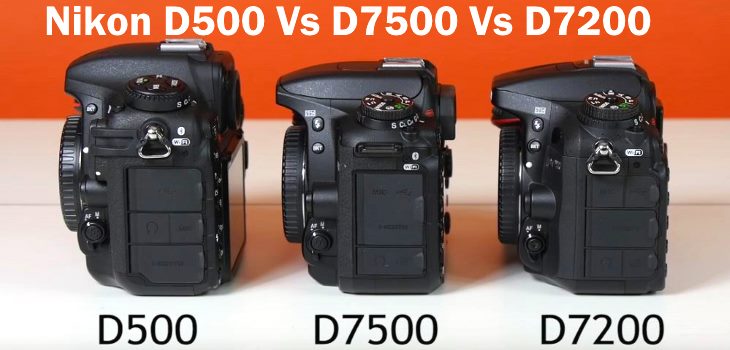 Nikon D7500 Vs D500 Vs D7200 Review Video Test