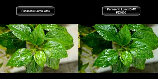 Panasonic Lumix GH4 vs Panasonic Lumix FZ1000 4K video test