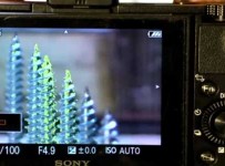 RX100 II focus Peaking
