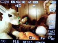 RX100 M3 focus tracking